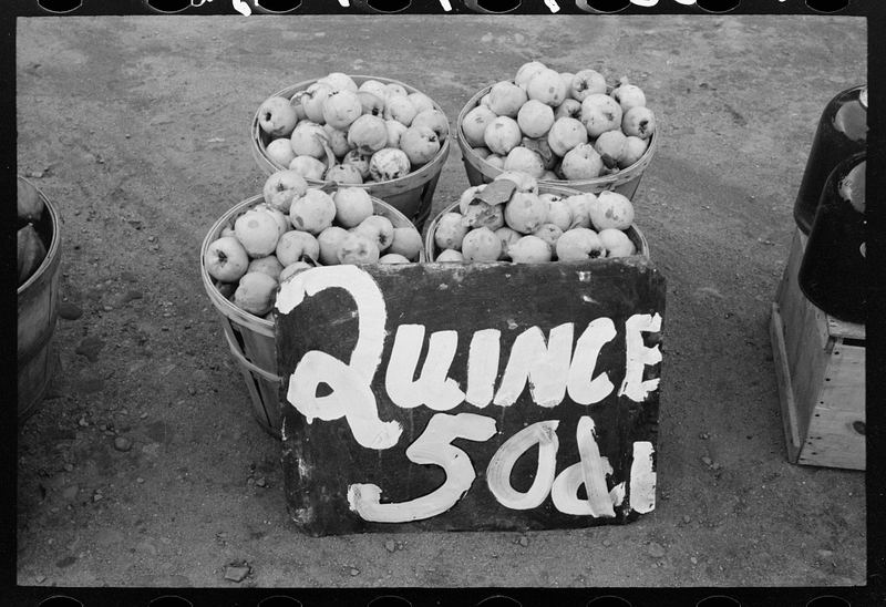 Illustration for article titled Roadside Stand